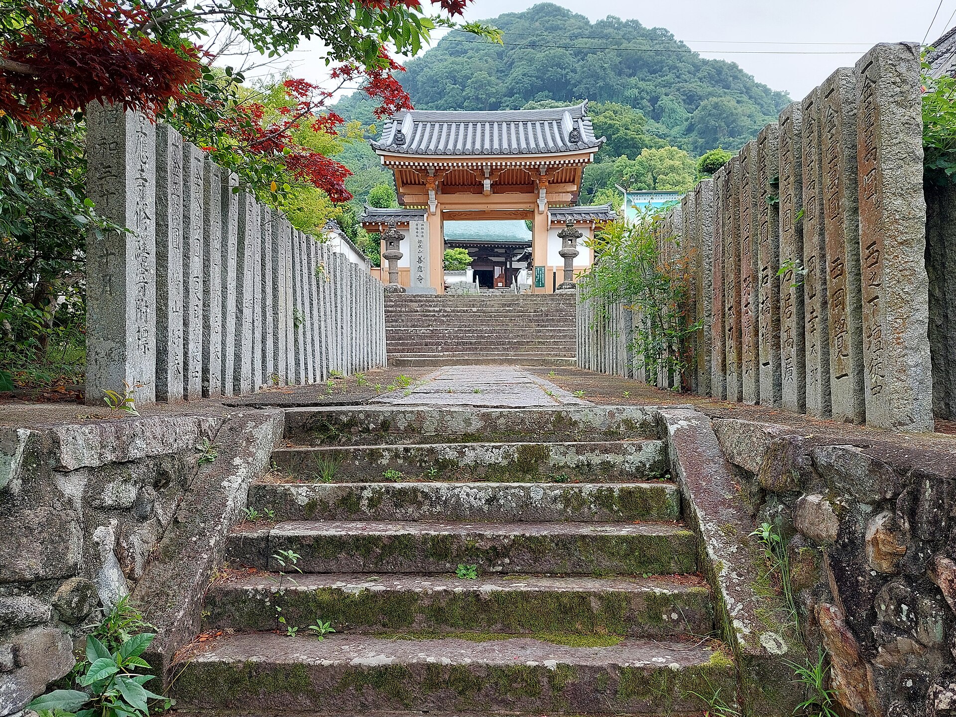 石段の先に善応寺の山門が見える参道